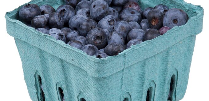 A basket of fresh blueberries, the number one best fruit for health and performance